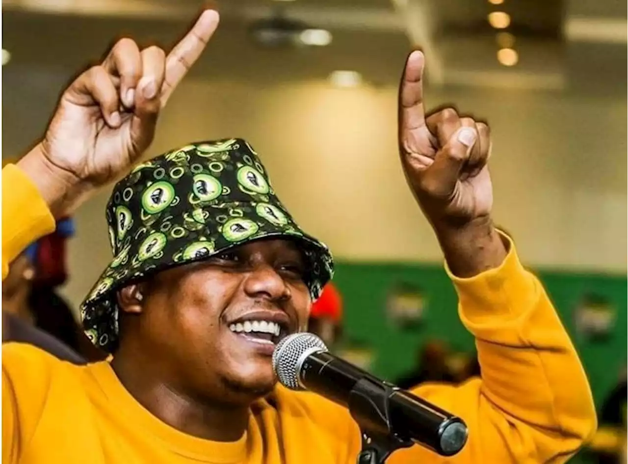 Misheck Mugabe | The ANC Youth League must renew itself now, or fade into irrelevance | City Press