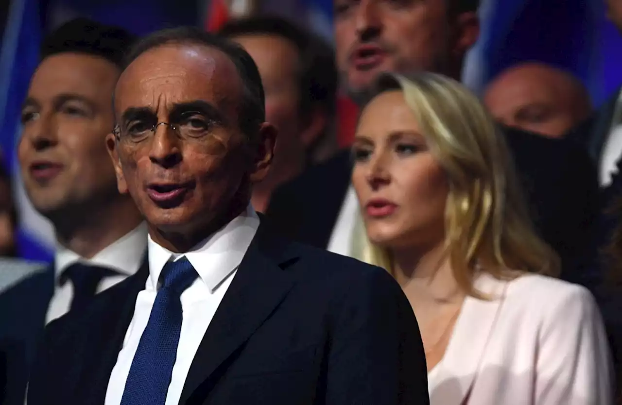 Fête de la violette : suivez le discours aux Français d'Eric Zemmour