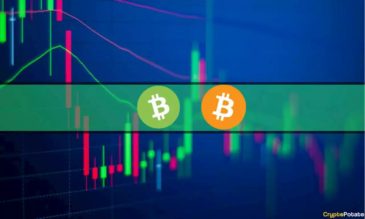 BTC Tests $31K as Bitcoin Cash Soars 30%: Market Watch