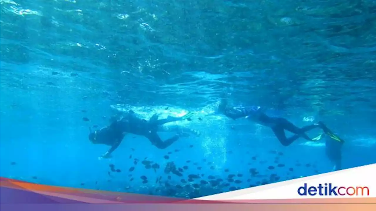 Turis China Tewas Saat Snorkeling, Sempat Minta Tolong dan Dibawa ke RS