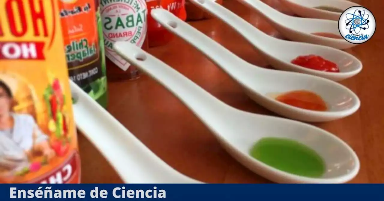 Esta es la mejor salsa picante, según PROFECO