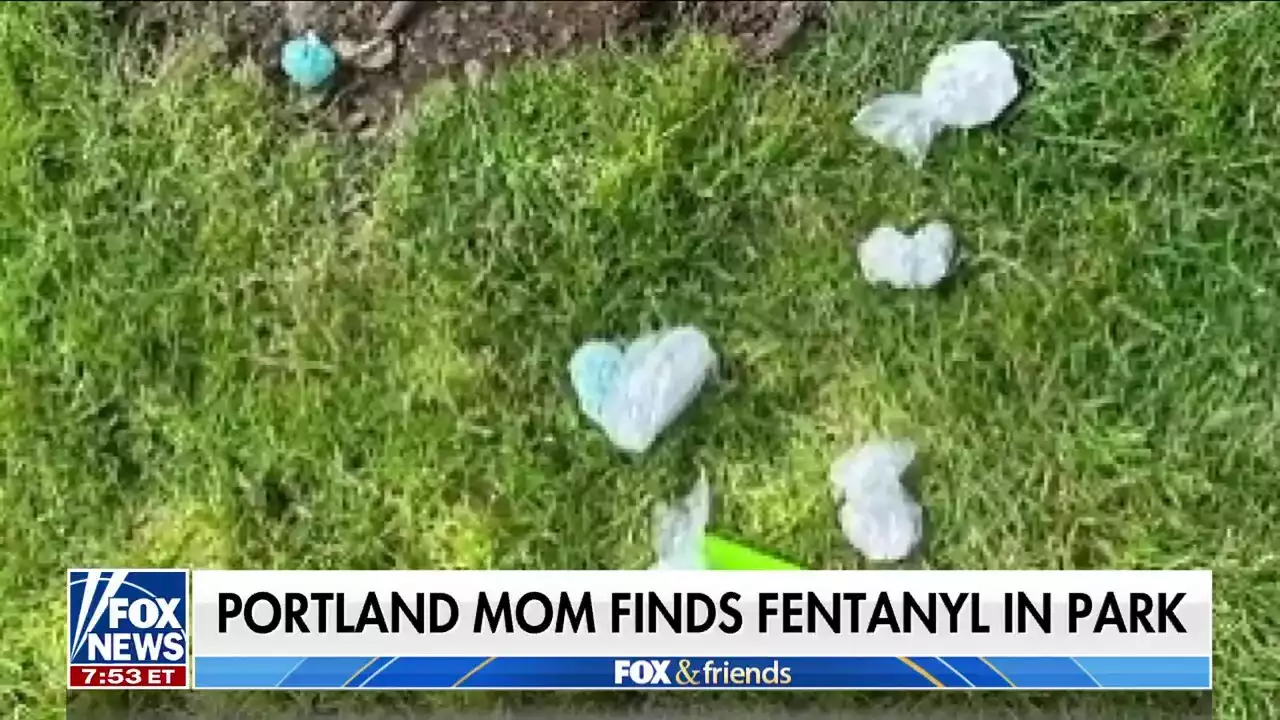 Portland residents outraged after bags of fentanyl found in popular city park: 'No playground is safe'