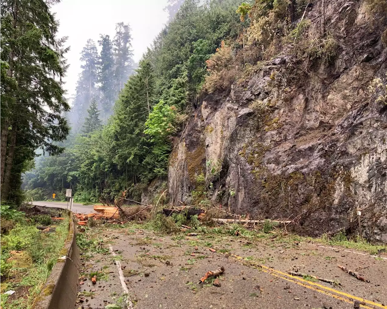 Highway 4 on Vancouver Island closed again after wildfire threat