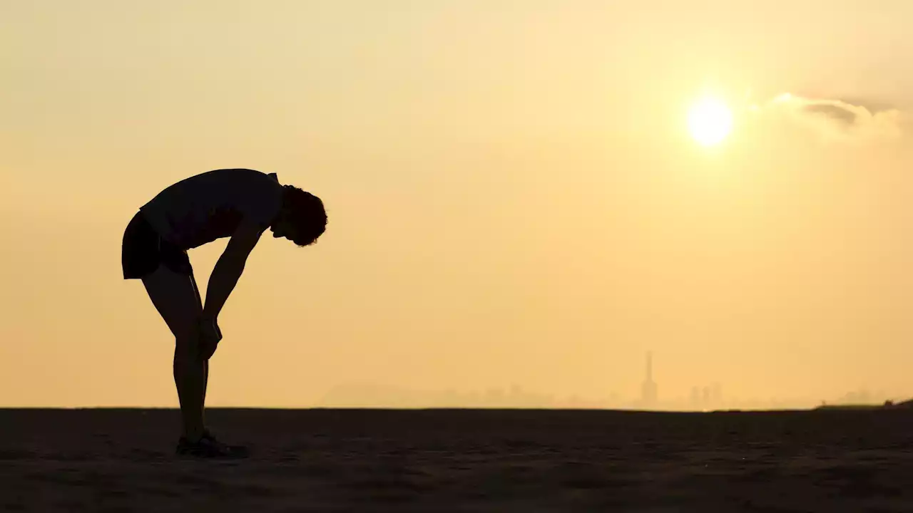 El calor hace que el corazón lata más rápido, que las arterias y venas se dilaten