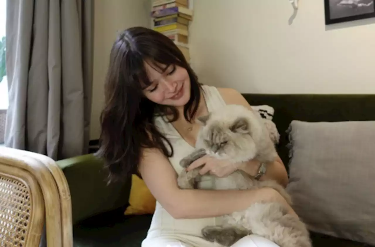 Bela Padilla grieves death of pet cat of 14 years: ‘I’m gonna carry this loss with me everywhere I go’