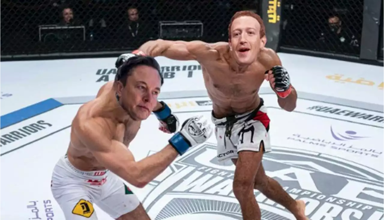 Musk diz que luta com Zuckerberg pode acontecer: 'Ainda não comecei a treinar'