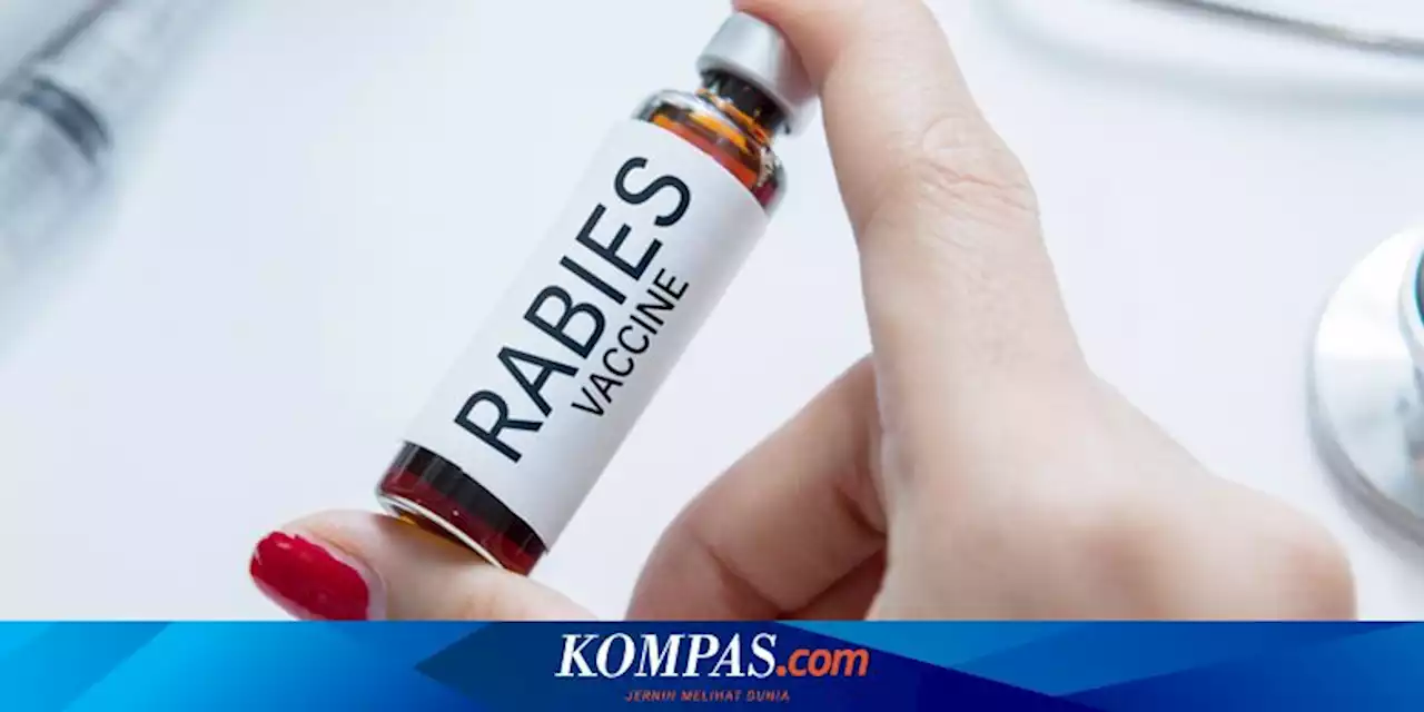 KLB Rabies, Pemkab Sikka Minta Bantuan Vaksin HPR ke Kementan