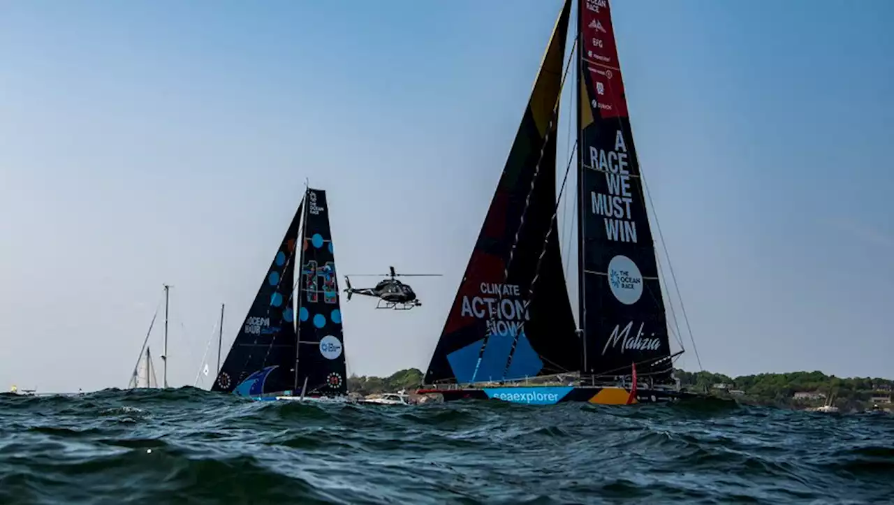 VIDEO. Voile : en pleine course, des orques attaquent des navires