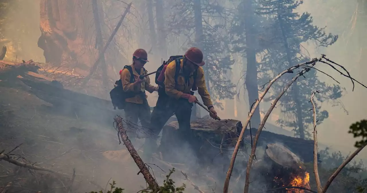 Can a $20-million liability fund encourage more 'good fire' in California?