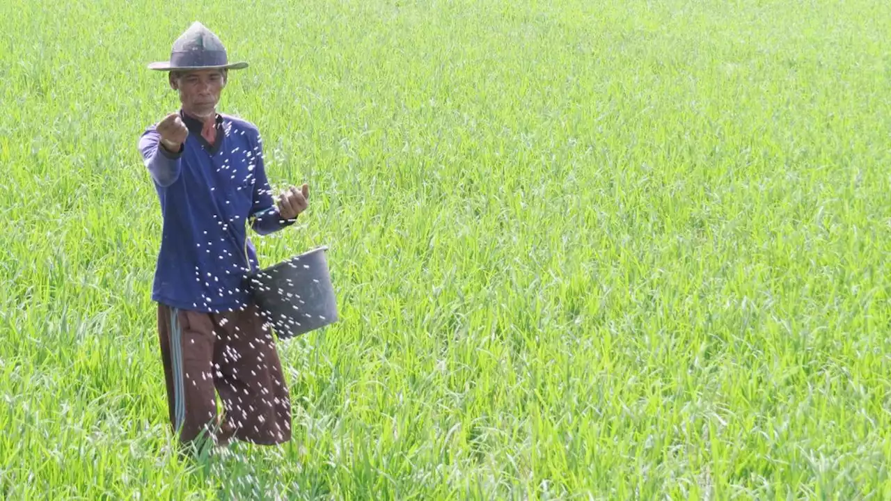 Jamin Pasokan Pangan Masa Depan, Pupuk Indonesia Regenerasi Petani