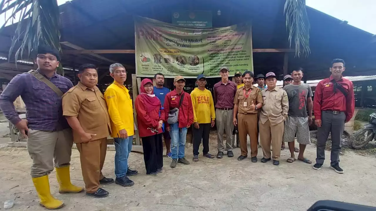 Pemerintah Proyeksikan Desa Korporasi Sapi di PPU Jadi Sentra Stok Daging IKN