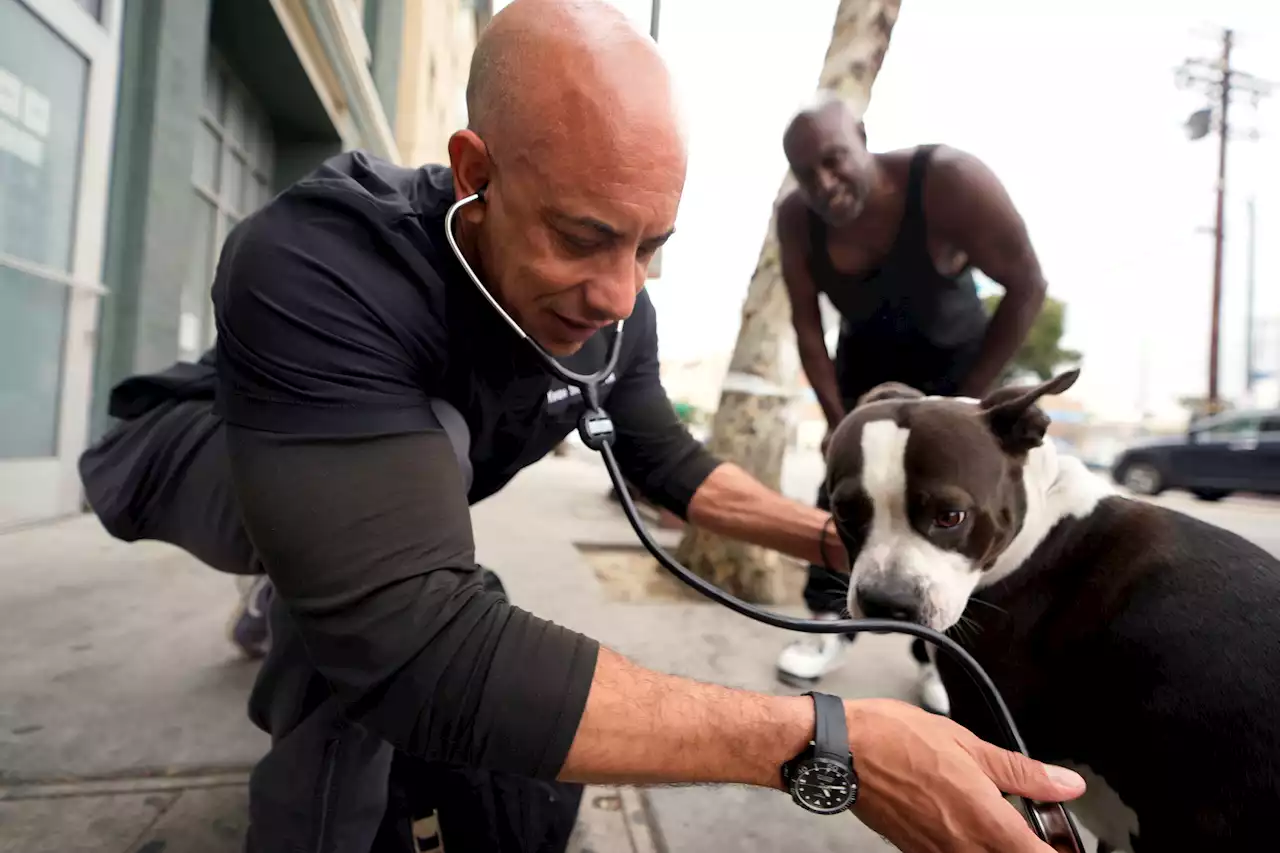 ‘The Street Vet' cares for the pets of people experiencing homelessness in California