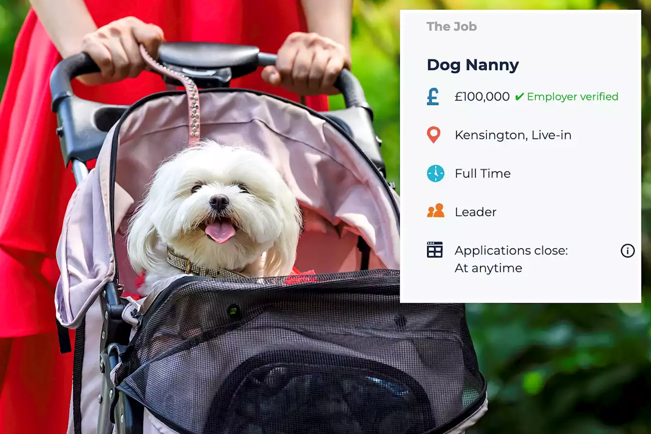 Viral dog nanny job posting with $127K salary yanked over too many applicants