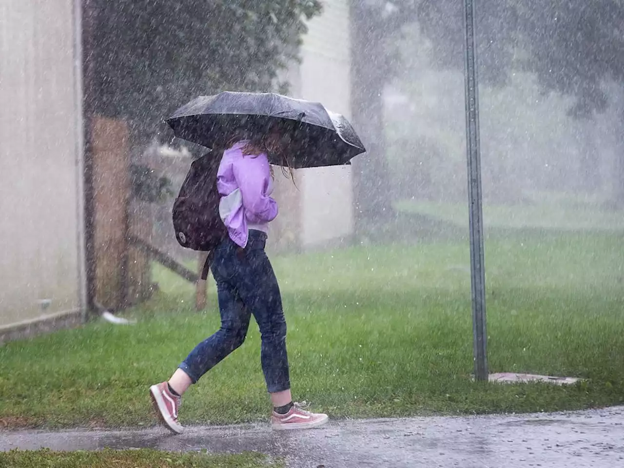 Weather system could bring 50 mm of rain to Ottawa, weather office warns