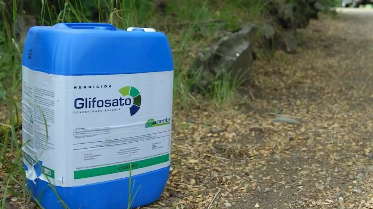 Misiones sancionó una ley que prohíbe el uso del glifosato | Para fomentar la producción de bioinsumos