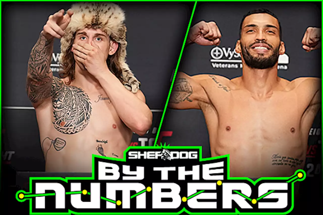 By The Numbers: Brendan Allen vs. Bruno Silva