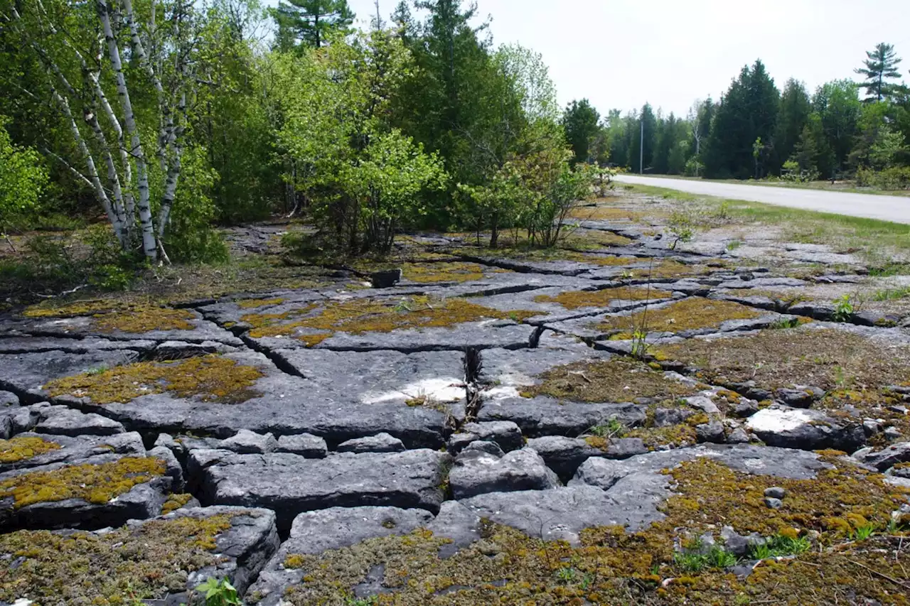 Back Roads Bill talks rocks - cracks, alvars, clints an grikes