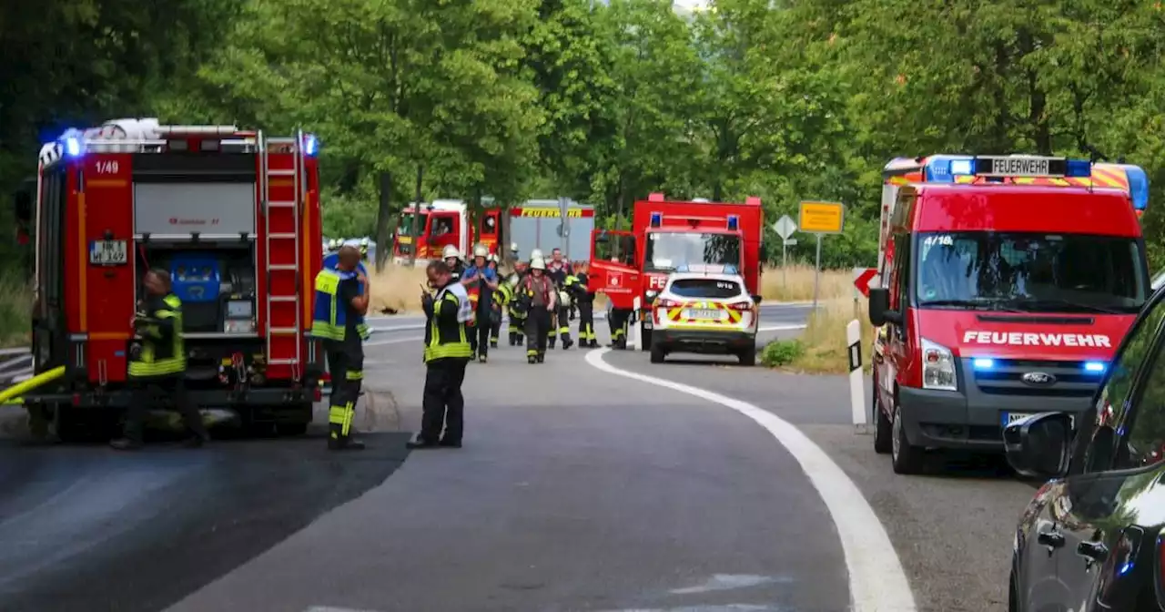 Einsatz nahe B41: Waldbrand bei Neunkirchen breitet sich aus – Feuerwehr löst Großalarm aus