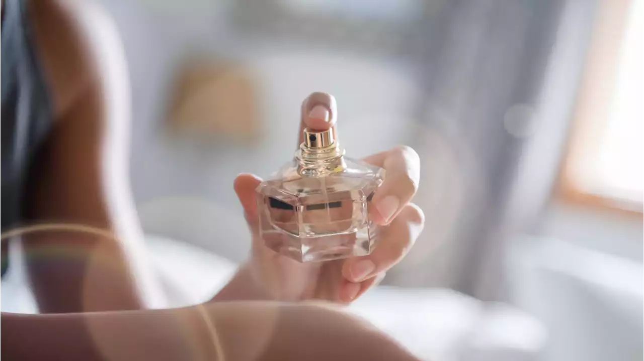 We Found All the TikTok Viral Perfumes at Nordstrom