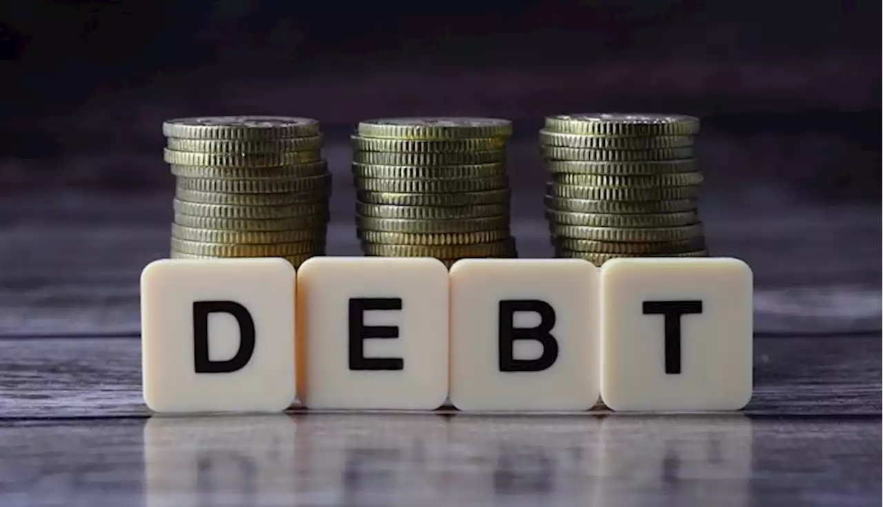 DMO pegs debt service-to-revenue ratio at 73.5%, says it's unsustainable | TheCable