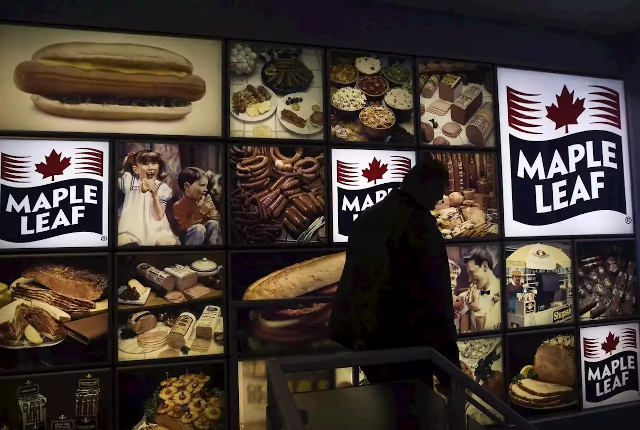 Maple Leaf chair Michael McCain knew about alleged bread price-fixing, Competition Bureau document suggests