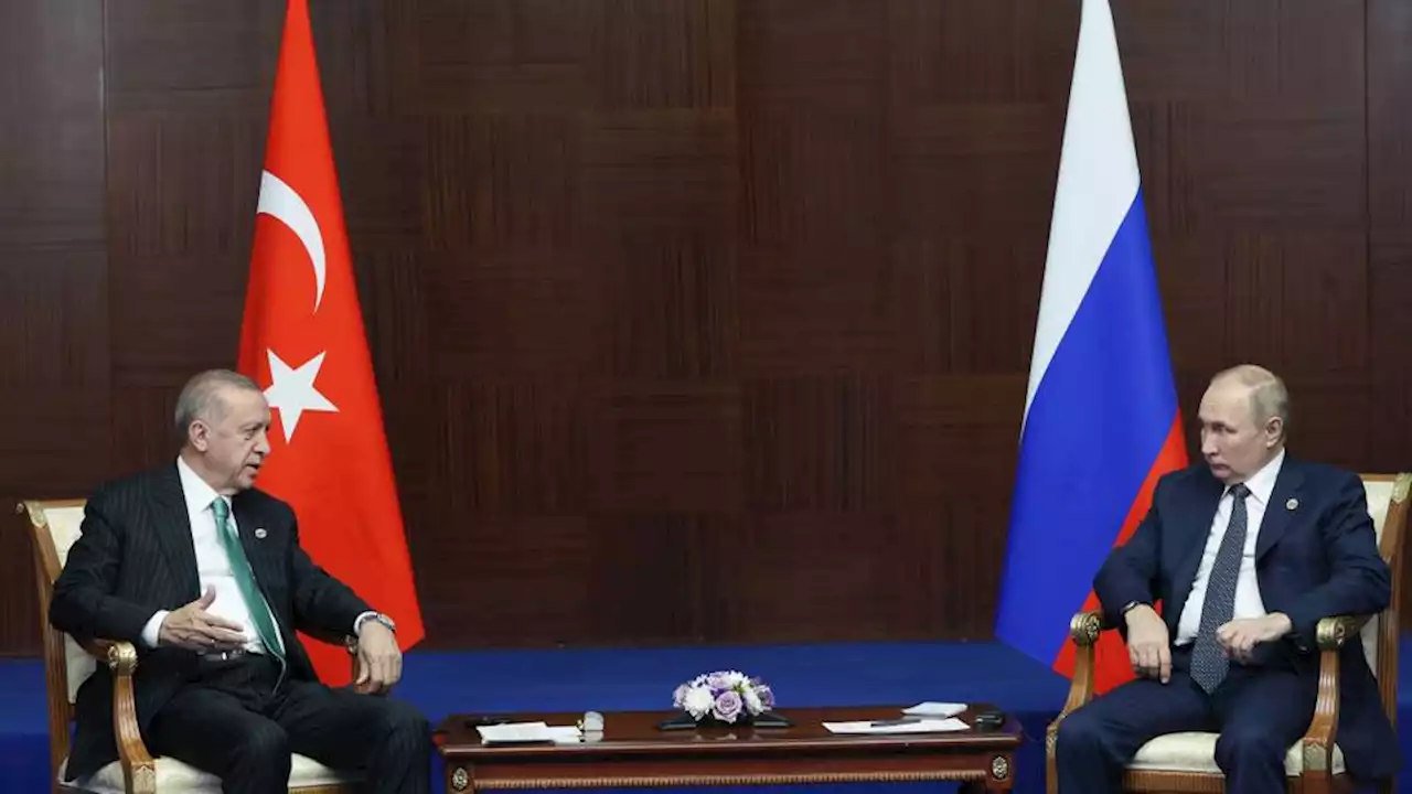 Erdogan to Putin: Türkiye ready to help for 'peaceful resolution' in Russia