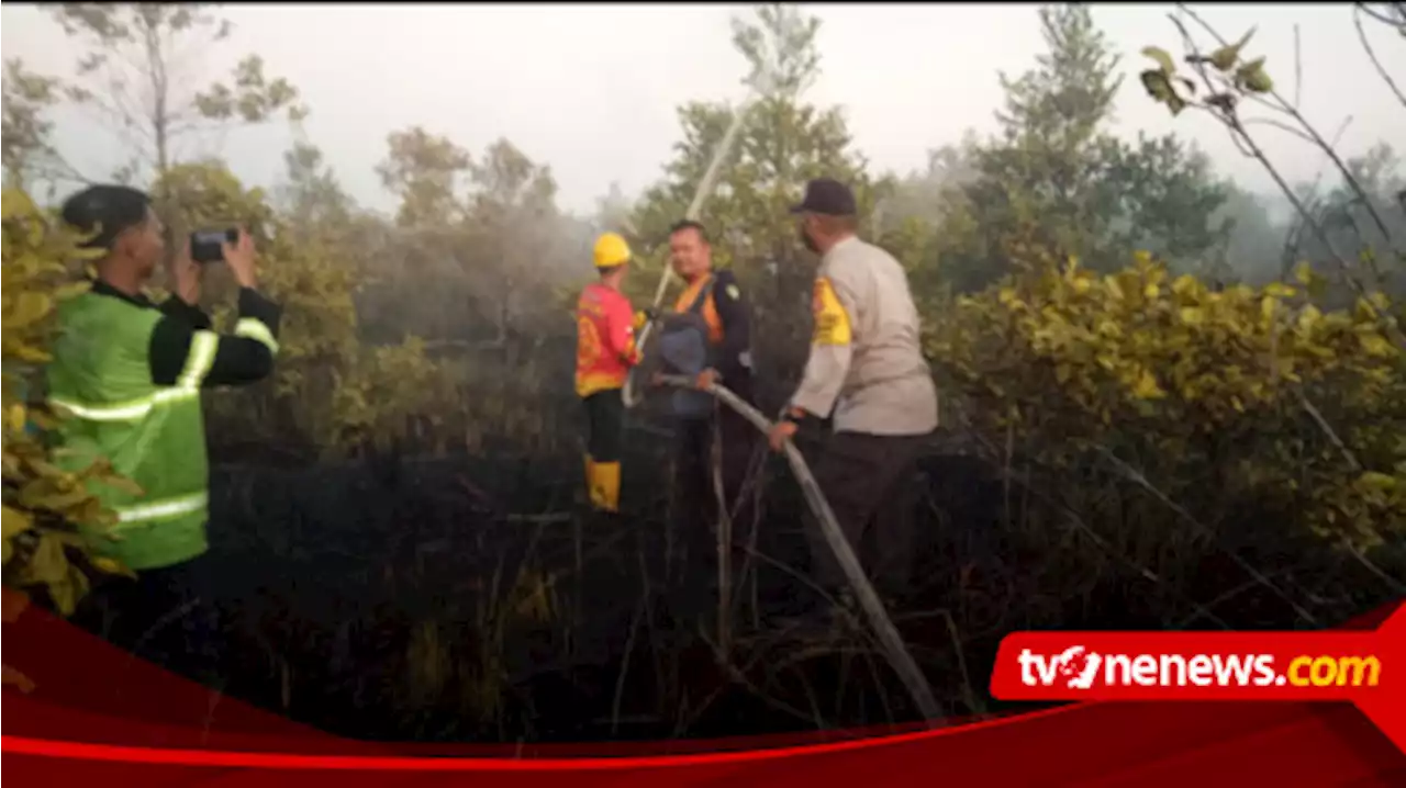 BPBD Berhasil Padamkan Kebakaran Hutan dan Lahan di Kelurahan Sebaru Palangkaraya