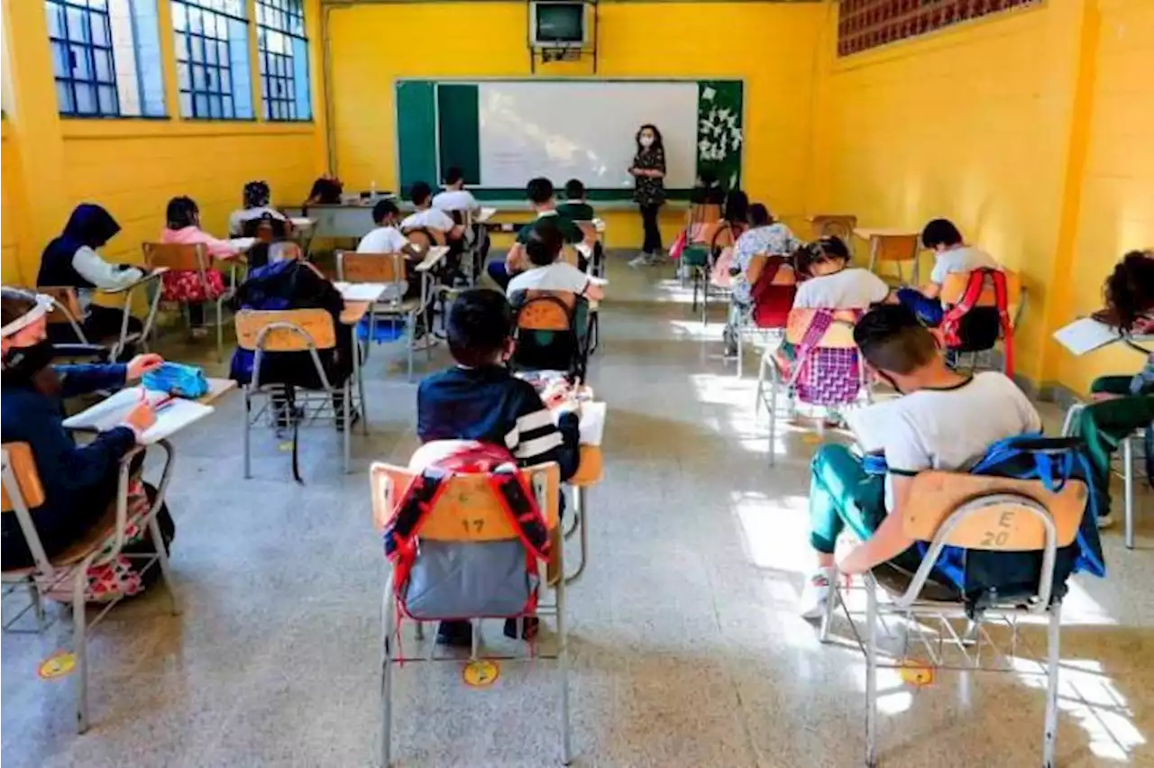 Aprueban proyecto para que familias pobres escojan colegio privado o público para sus hijos