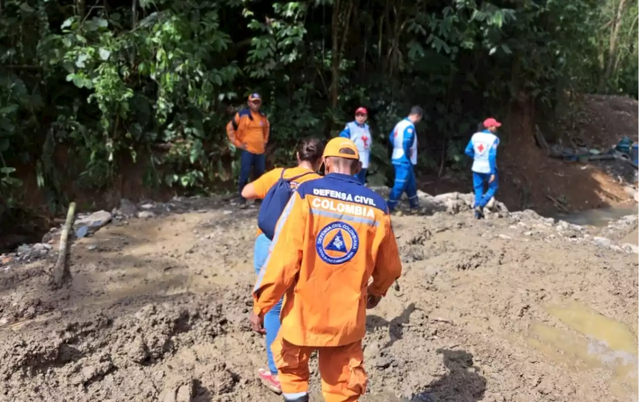 Dos muertos y seis heridos tras derrumbe de mina en Montecristo, Bolívar