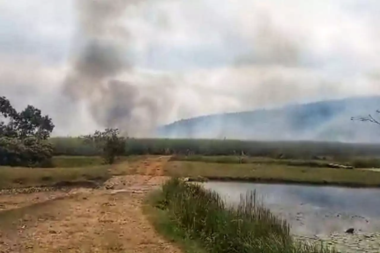 Encapuchados prendieron fuego a reserva forestal en el norte del Cauca