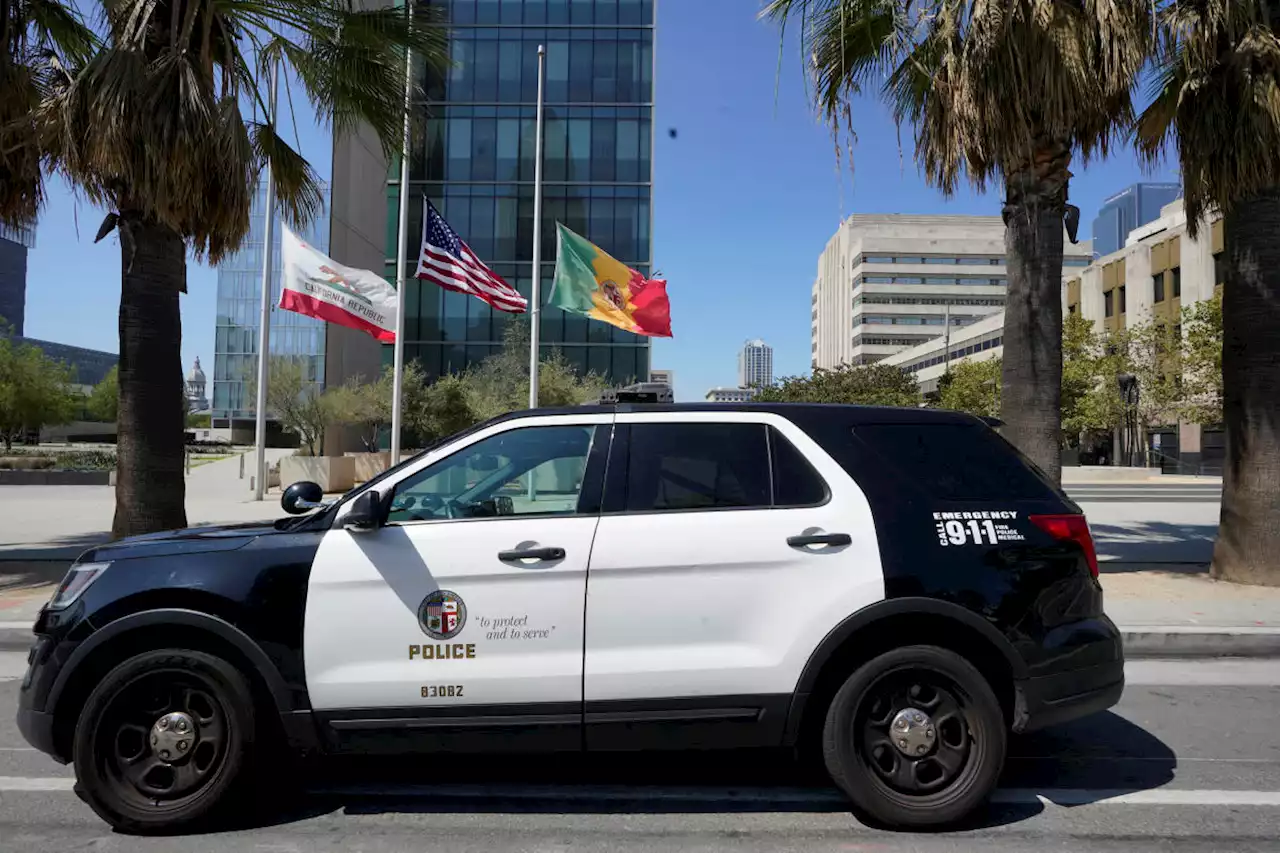 Police in California aren't immune from certain misconduct lawsuits, high court rules