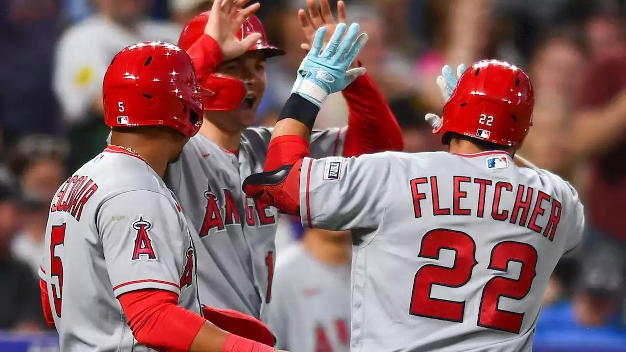 'One of those days': Angels author history with 25-1 victory