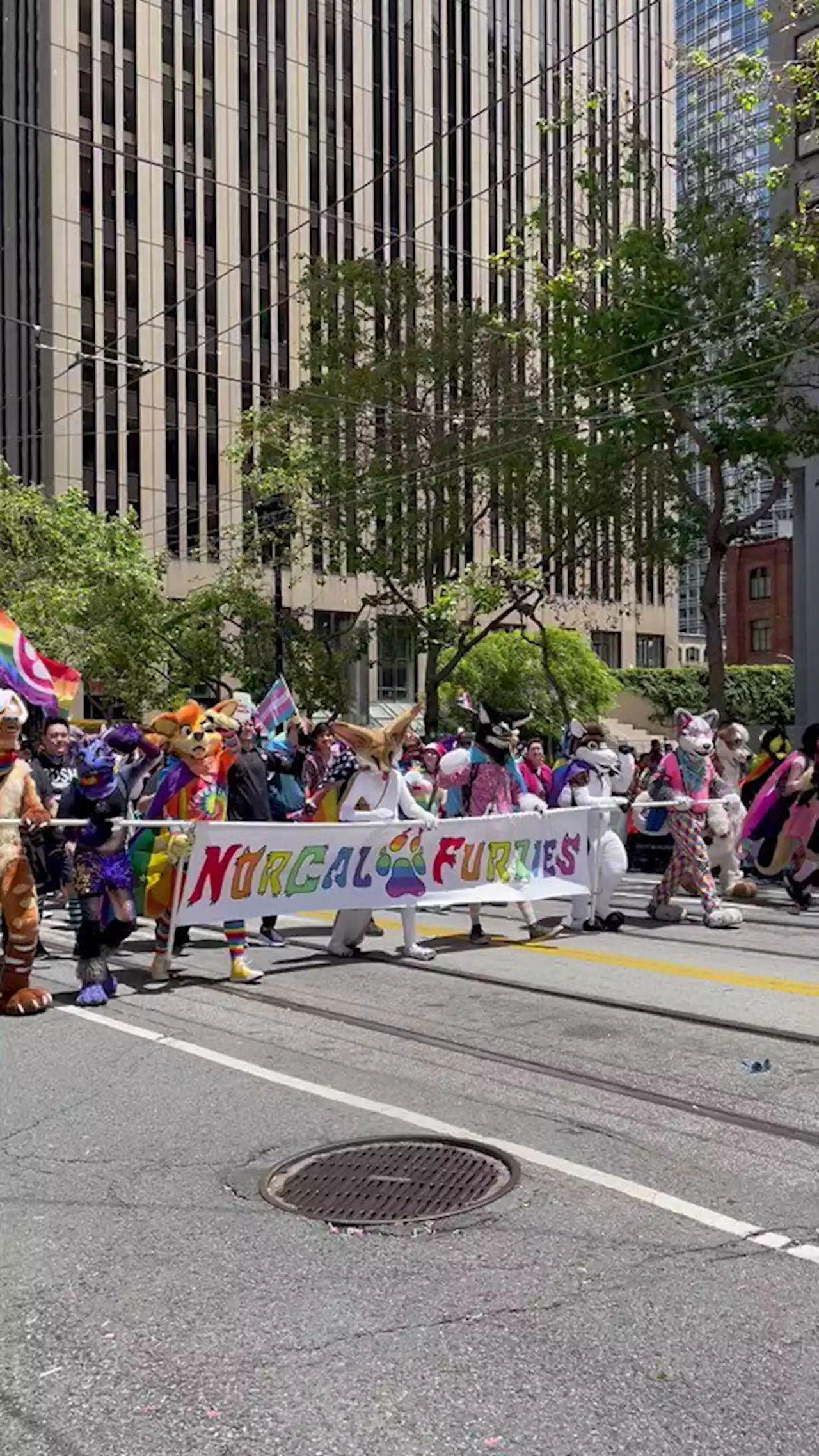 San Francisco Pride Parade exclusively on ABC7 | Watch here