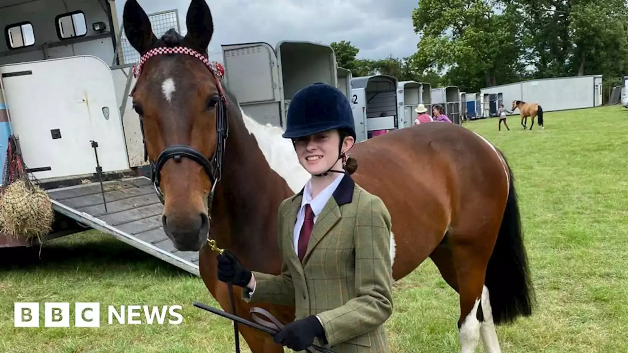 Horse 'left to die' is now prize-winning show pony