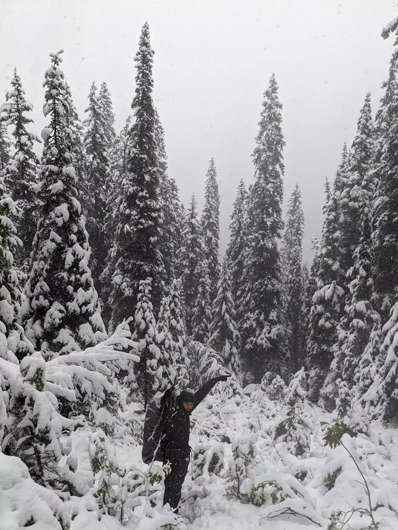 'Belly of the shadow of death': Belgian hikers recount 7-hour trek in Jasper snowstorm