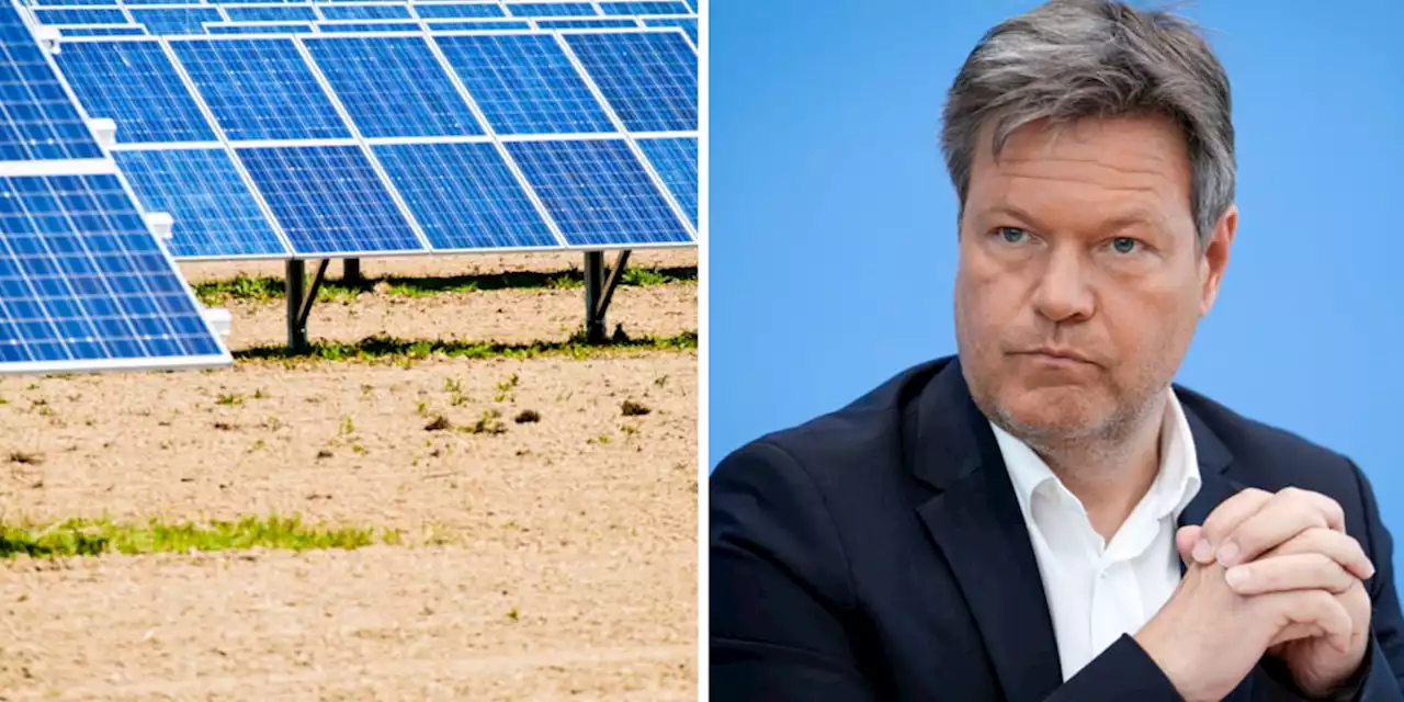 Habecks Photovoltaik-Pläne führen zu Landkonflikten und Ministeriumsstreitigkeiten