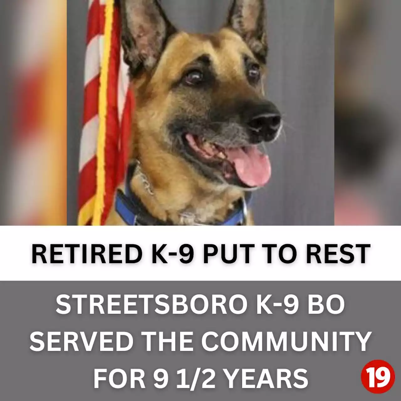 Retired Streetsboro K-9 put to rest just shy of 15th birthday