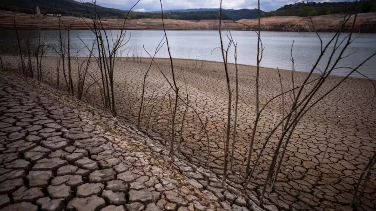 With record heat and drought-stricken woods, Spain's Catalonia faces perfect wildfire conditions