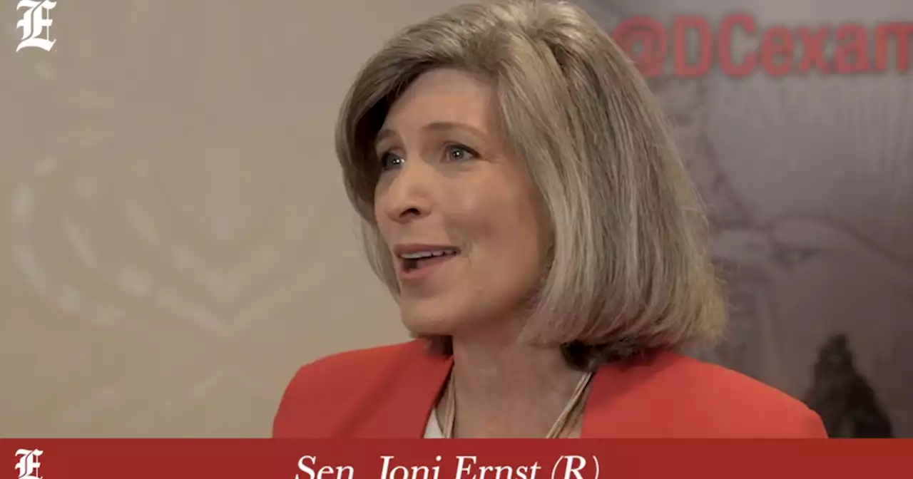 Joni Ernst discusses importance of legislation to protect women's sports