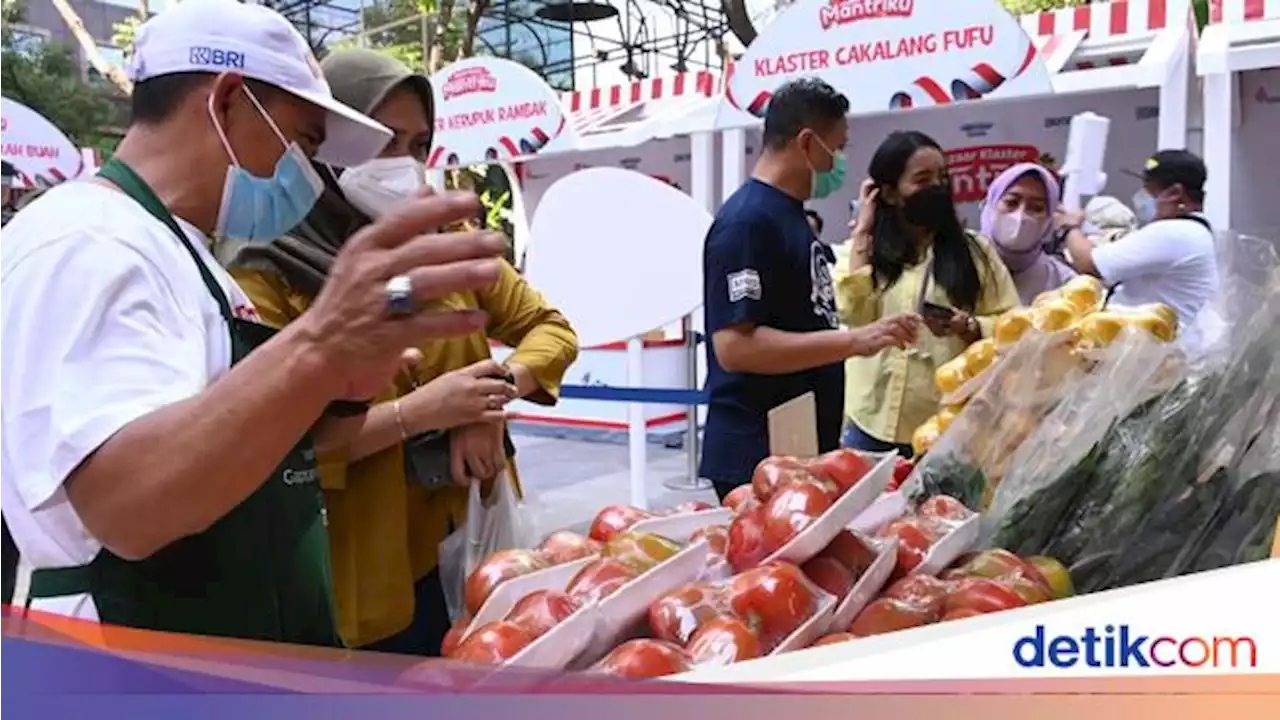 Bazar UMKM BRI Dorong Perluasan Pasar Produk Unggulan Desa BRILian