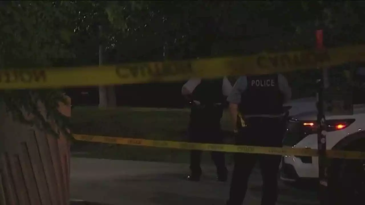 Woman stabbed in Chicago's Grant Park