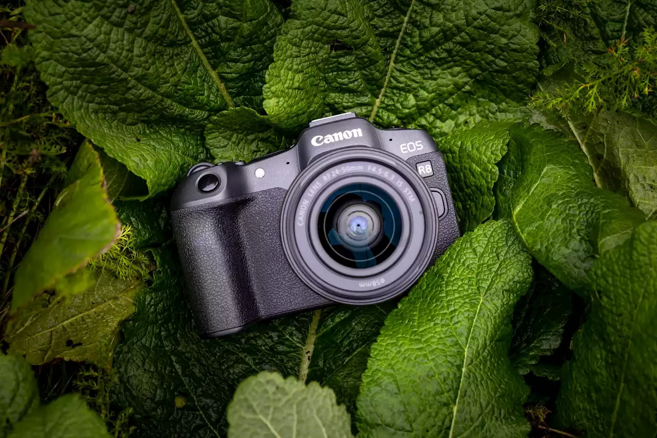 Canon EOS R8 : pourquoi ce boitier est un excellent rapport qualité-prix pour se lancer dans la photo pro