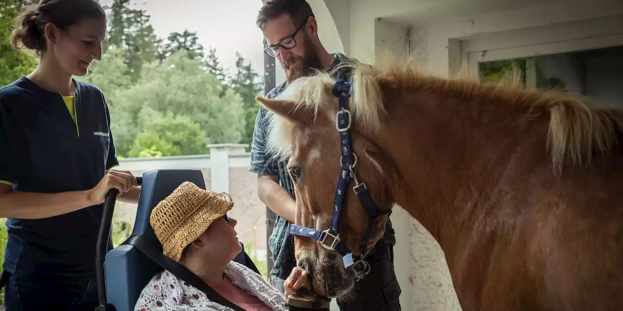 Todkranke Karin durfte ein letztes Mal ihr Pferd sehen