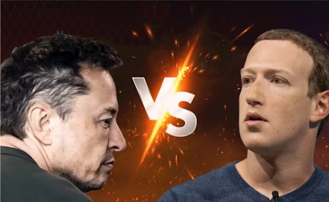 Musk will train if Las Vegas martial arts cage match vs Zuckerberg takes hold