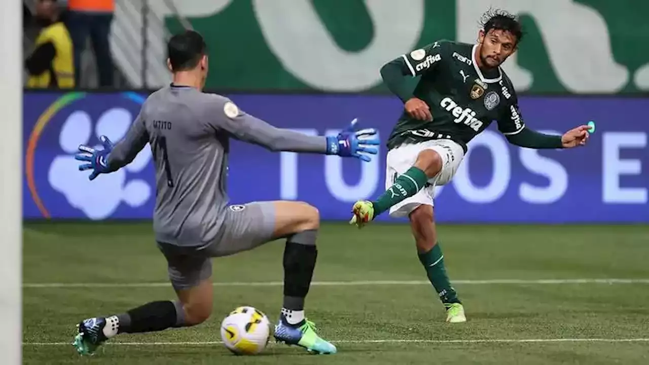 Botafogo tenta vencer primeira partida na história dentro do Allianz Parque | Botafogo | O Dia