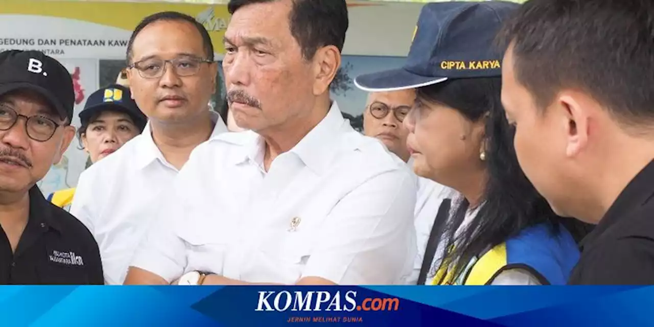 Gara-gara Hutan Rakyat Dicaplok, Luhut Wajibkan Pengusaha Sawit Lapor Izin Usaha Mulai 3 Juli 2023