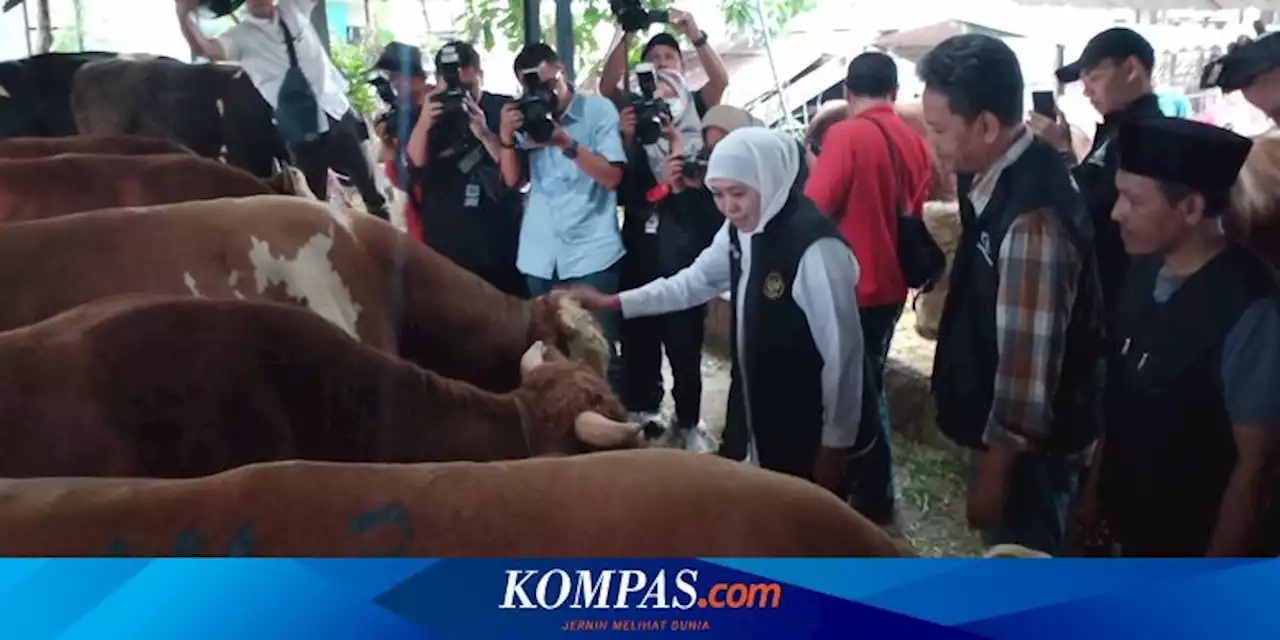 Jelang Idul Adha, Khofifah Minta Jangan Banting Hewan Kurban