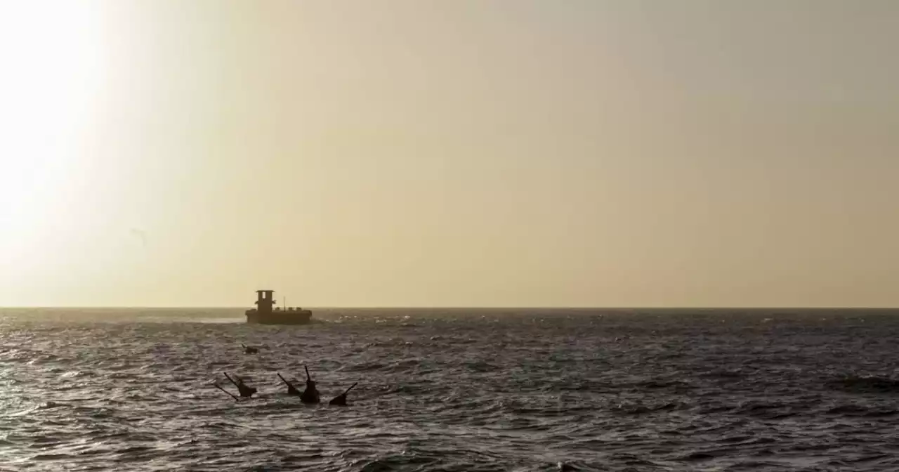 Tormenta tropical Bret: terminó la alerta por su paso por el mar Caribe de Colombia