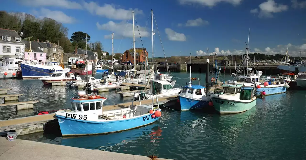 Five-year-old boy dies after falling from harbour wall in 'tragic accident'