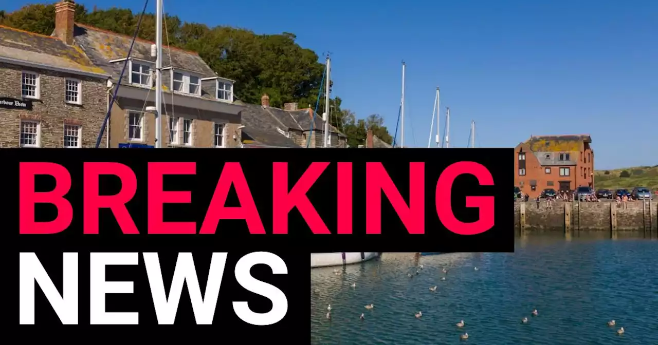 Boy, 5, dies after falling from harbour wall